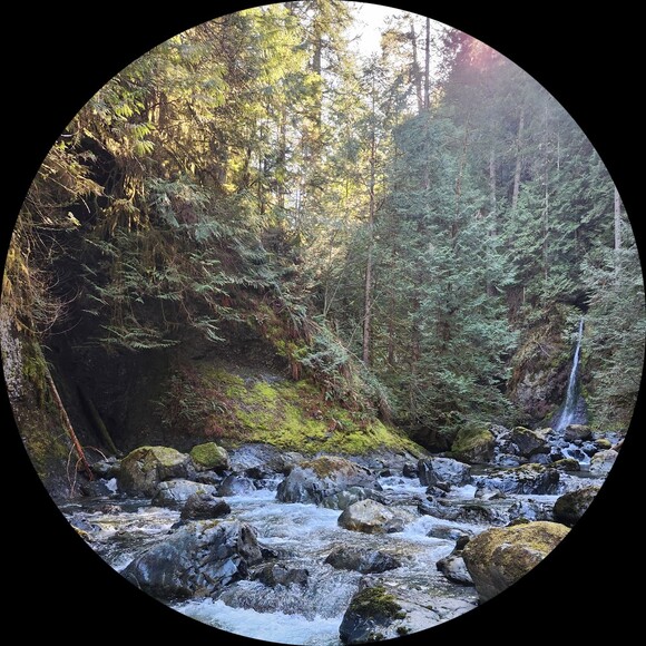 forestlover2598